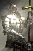 Paladin-de -Heaum